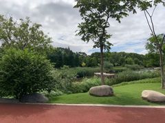 -上海长兴岛郊野公园