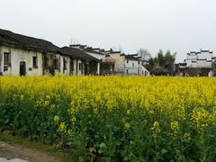 android_upload_pic-思溪延村