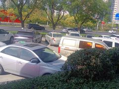 -映像威海·海鲜味道(经区店)