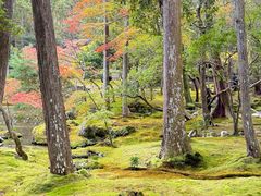 -西芳寺(苔寺)