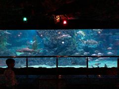 -暹罗海洋世界