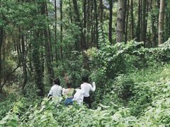-大面山