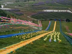 -嘉百乐超市(新东街店)