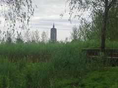 -西海子公园