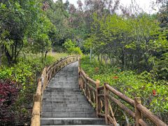 -聚龙山公园
