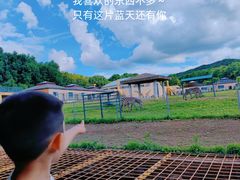 -哈尔滨北方森林动物园