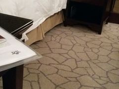 -北京首都机场希尔顿酒店