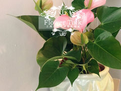 -花言草语鲜花店(灵山路店)
