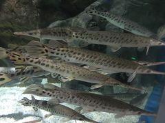 -多彩贵州城极地海洋世界