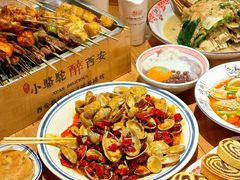 -福苗小骆驼烧烤(莲湖路店)