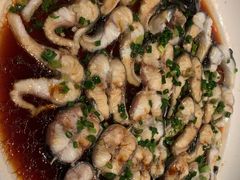 -同庆楼(滨湖万达广场店)