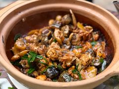 鳝鱼鸡煲-大唐靓汤江门私房菜(景田店)