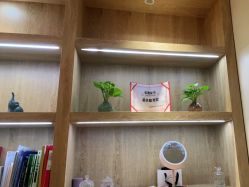 -苑苑vbeauty科技美容SPA