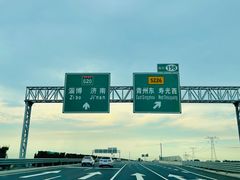 -老槐树煎包