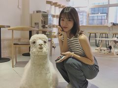 -Heymao猫咖.咖啡厅(东门店)