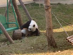 -石家庄市动物园