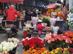 -循礼门鲜花花市(武汉循礼门店)