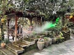 -青城甲(青城山店)