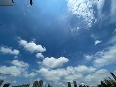 -天治宣·野椒鸡(龙头寺总店)