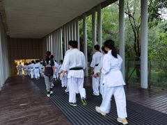 -极真空手道修远道场