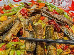 -黑蚂蚁(南河店)