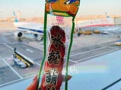 -御食园(首都机场T2店)