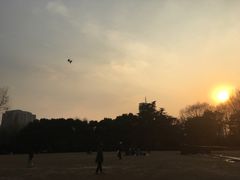 大草坪-复兴公园