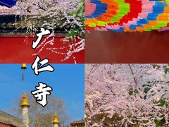 -西安市广仁寺