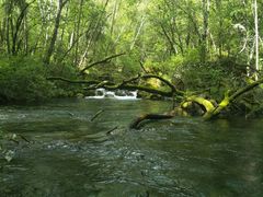 -叠溪松坪沟景区