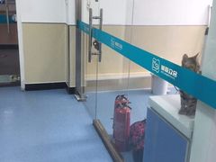 -美联众合动物医院·24h京西诊疗中心