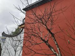-乌山风景区