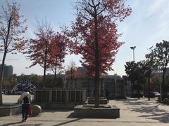 -三江森林温泉度假区