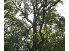 -古田会议纪念馆