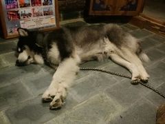-浔岚云舍mist静谧观景美宿(丽江古城店)