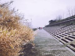 -上海滨江森林公园