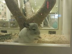 -龙猫仔乐园(惠福东路店)