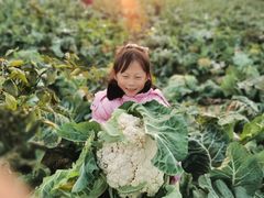 -前小桔亲子创意农场·草莓采摘·露营烧烤