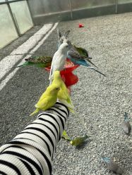 -萌宠亲子动物乐园(槐房万达店)