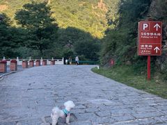 -秦岭终南山世界地质公园翠华山景区