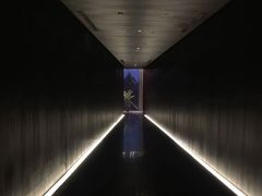 -wann lounge 低温慢煮牛排·清吧