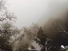 -北京鹫峰国家森林公园