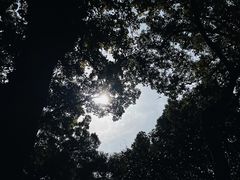 -绮园景区