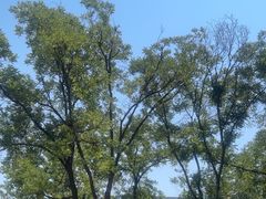 -太原茂业天地购物中心