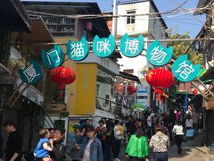 -猫咪博物馆(顶澳仔猫街店)