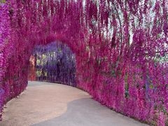 -歌斐颂巧克力小镇