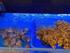 -美食汇·海鲜自助餐·家庭聚会·商务宴请(青秀万达文华店)