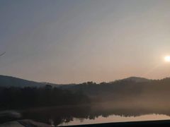 -合肥滨湖国家森林公园