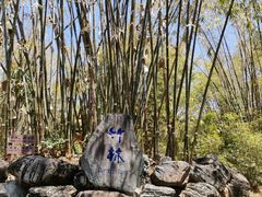 -云南勐巴娜西珍奇园