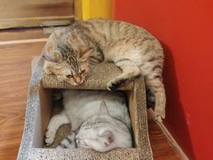 -H立方实景剧情密室(天河旗舰店)