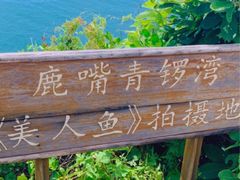 -杨梅坑